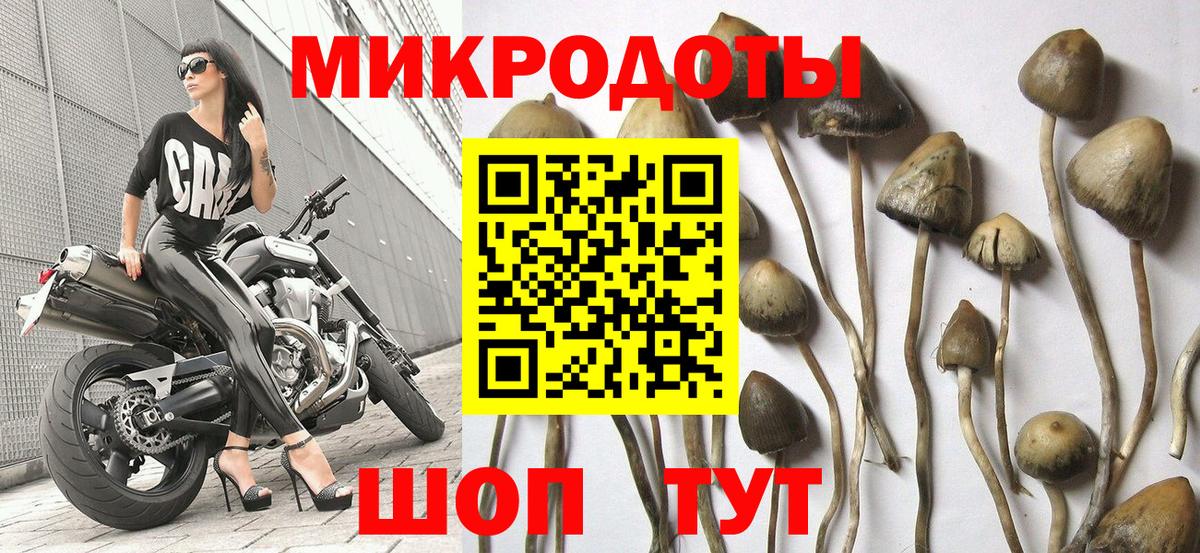 Заречный  Галлюциногенные грибы мицелий  Вход с VPN 