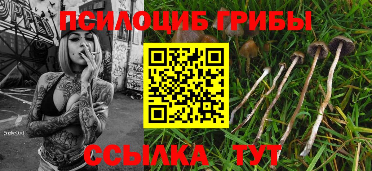 КЕТАМИН Заречный